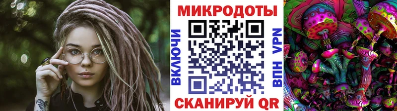закладка  гидра как зайти  Галлюциногенные грибы Psilocybine cubensis  Остров 
